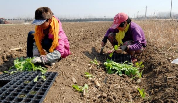 打好2022年農(nóng)業(yè)生產(chǎn)第一仗 青島即墨區(qū)扎實(shí)推進(jìn)春耕工作